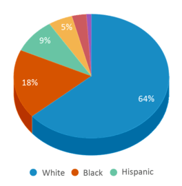 This chart displays the percentage breakdown of public school students of all ethnic groups in Michigan.