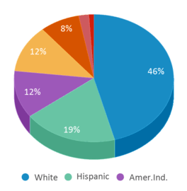 This chart displays the percentage breakdown of public school students of all ethnic groups in Oklahoma.