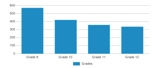 This chart displays the students of Villa Rica High School by grade.