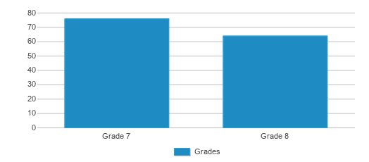 Year 7 grades / targets?