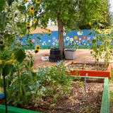 Finley Farms Elementary School Photo #6 - Our campus garden is a great place for students, families, and staff to gather as a community and work toward a common goal.